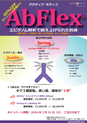 【アクティブ・モティフ】AbFlexリコンビナント抗体40％OFF キャンペーン